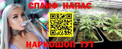 ПСИЛОЦИБИНОВЫЕ ГРИБЫ Краснодар