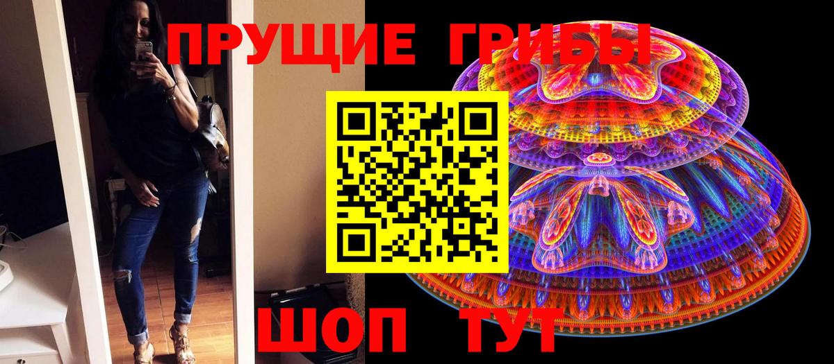 Донской  Галлюциногенные грибы прущие грибы  Вход с VPN 
